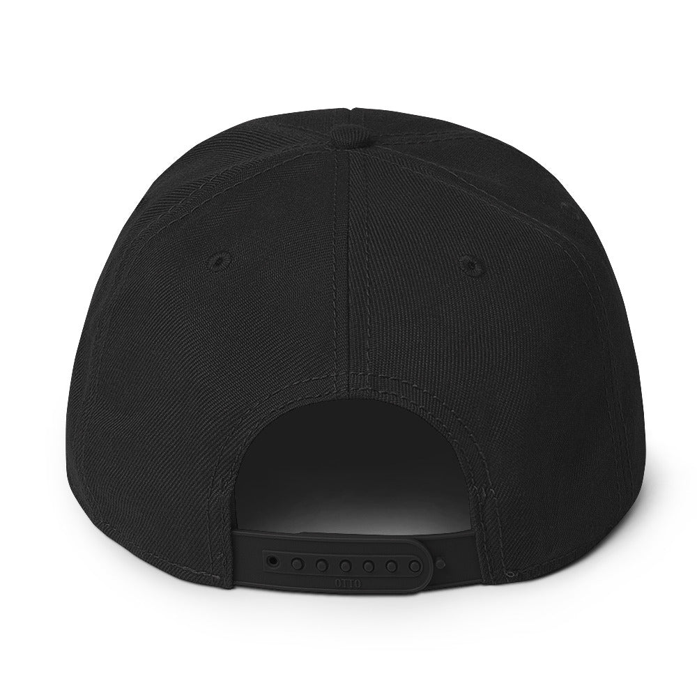 Chris Niu music snapback hat back view