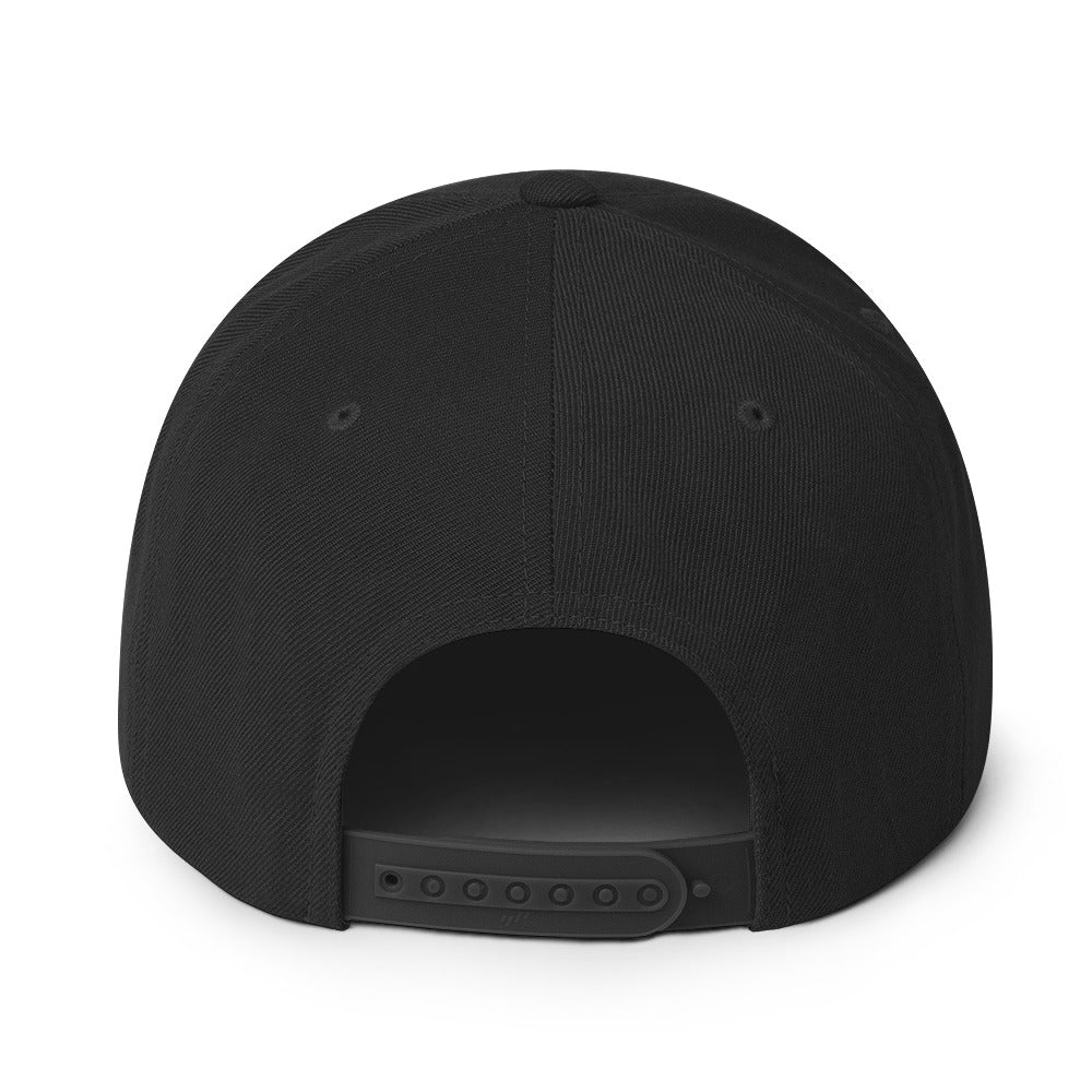 Hella Seki snapback hat back view